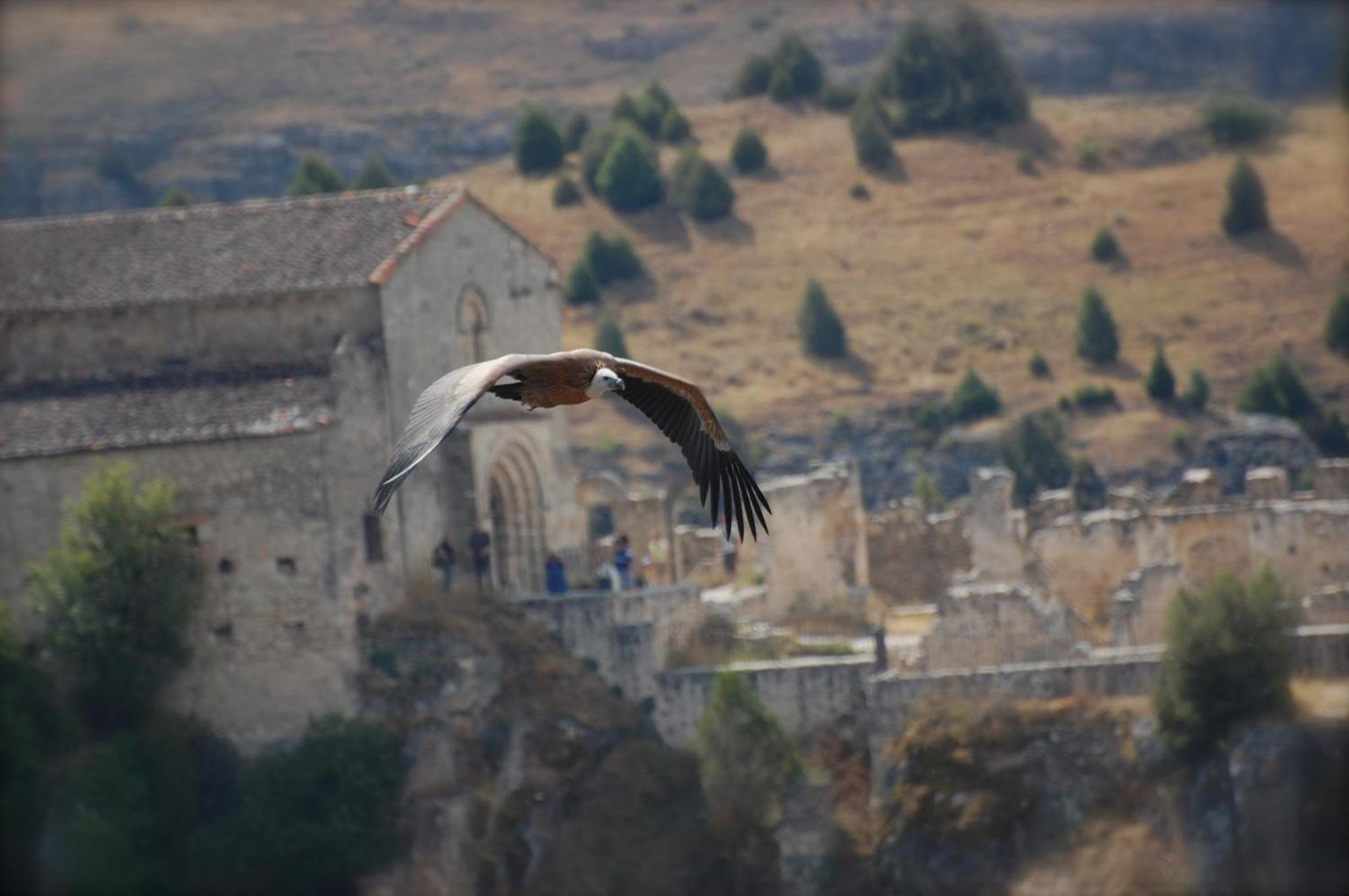 El Rincon De Las Hoces Del Duraton Burgomillodo Exteriér fotografie